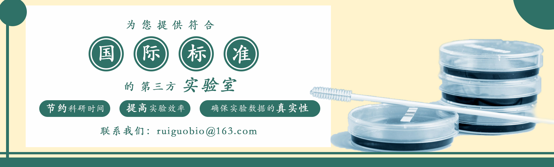 开云线上（中国）官方网站
